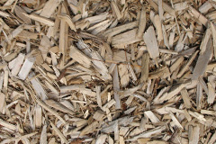 biomass boilers Tondu